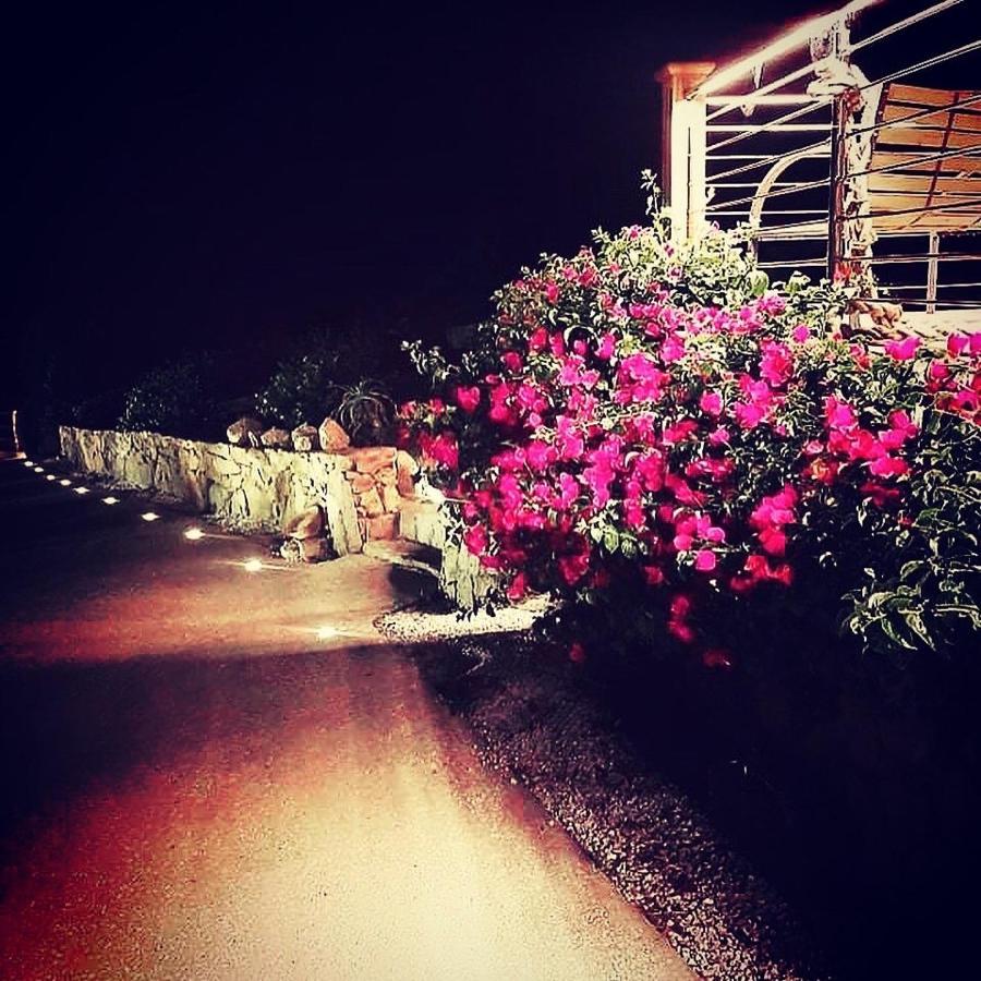 Tenuta Petra Manna Palau Bagian luar foto